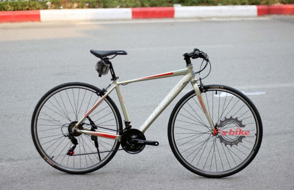 Xe Đạp California City S680 2023 Màu Vàng Đồng