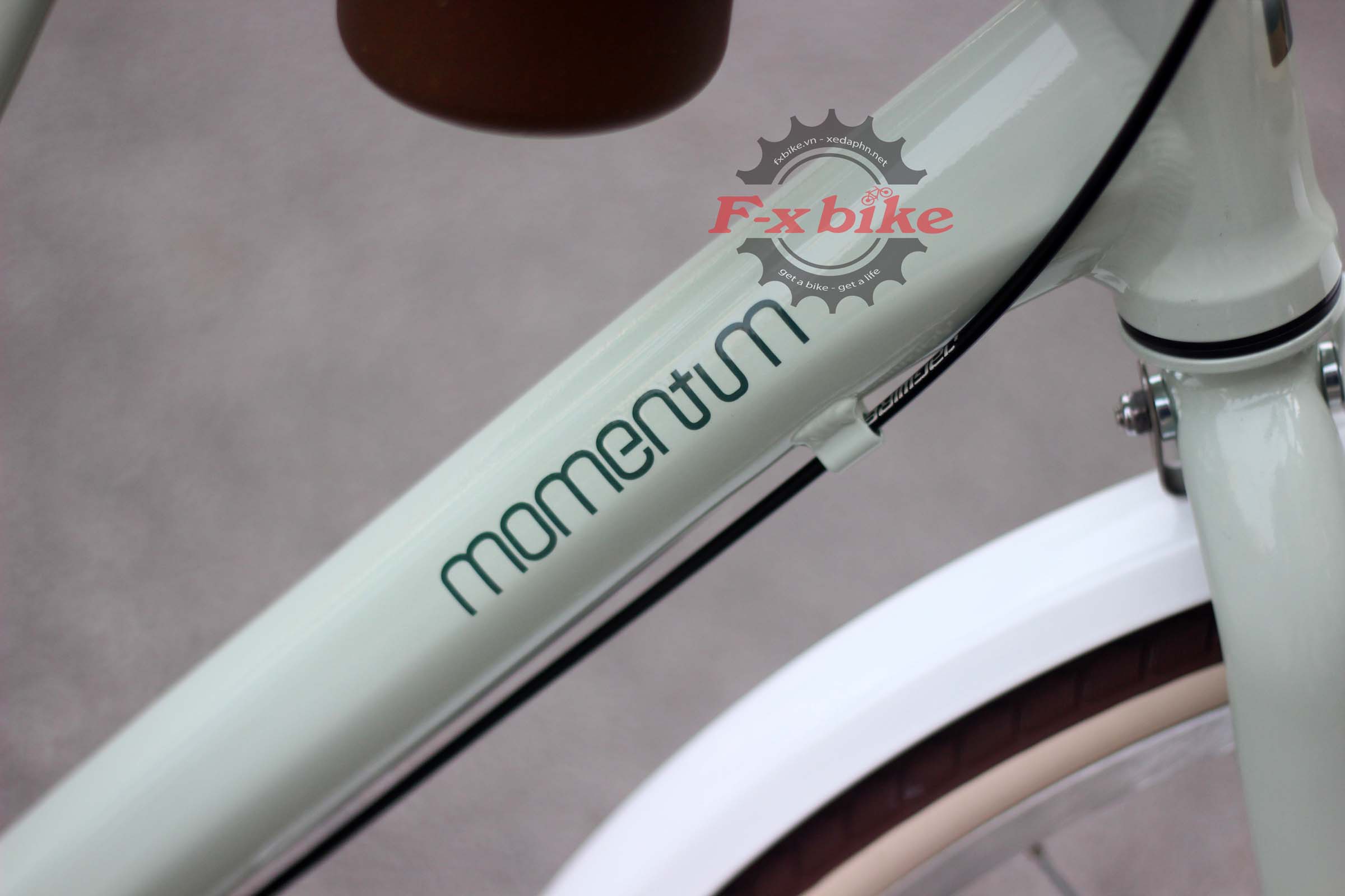 Logo Momentum chính hãng sắc nét trên khung