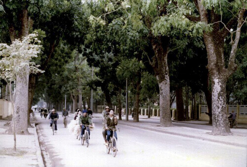 Những chiếc xe đạp trên đường Hoàng Diệu xưa