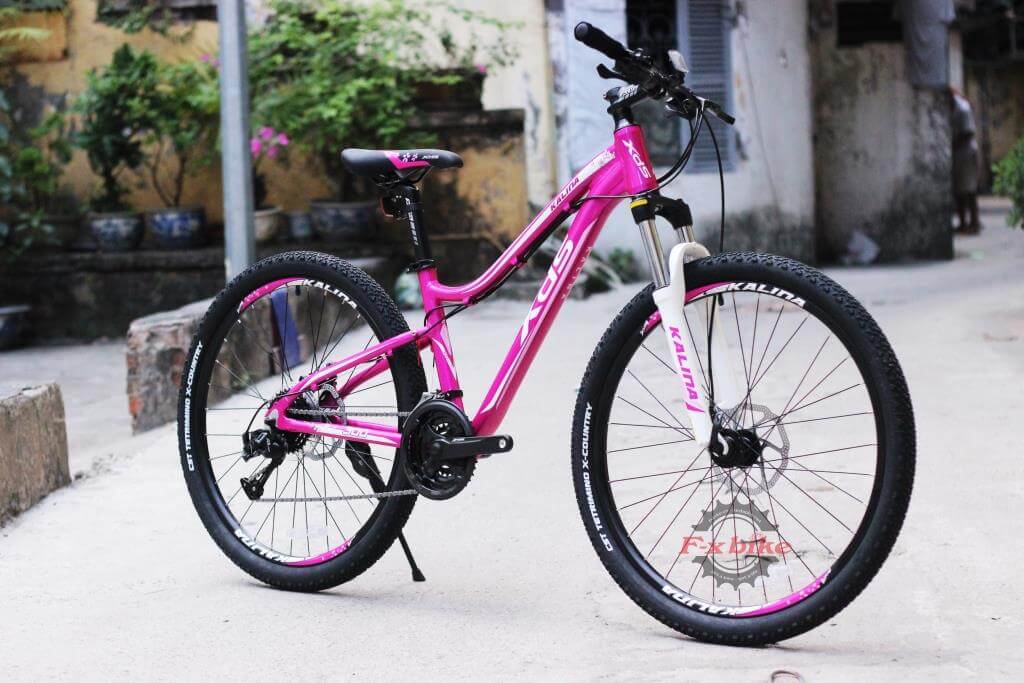 Xe đạp thể thao màu sắc xanh và hồng phù hợp cho cả nam và nữ  Shopee Việt  Nam
