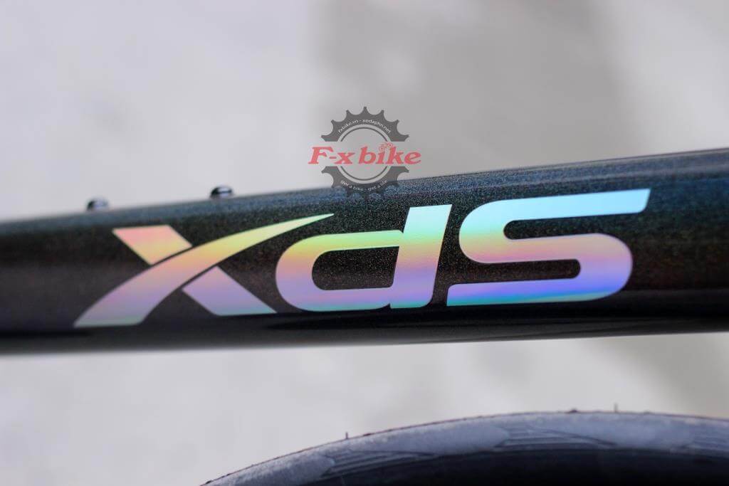 Logo XDS phát quang đổi màu nổi bật