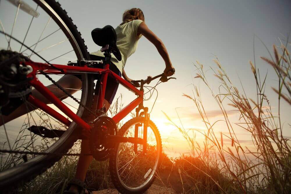 WHO khuyến khích đi xe đạp ngay cả khi đi du lịch và tập thể dục