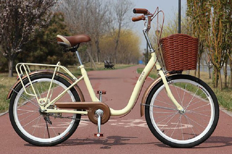 6 mẫu xe đạp nữ giá rẻ “đốn tim” phái đẹp
